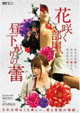 蜜桃久久收录的剧情电影条目封面